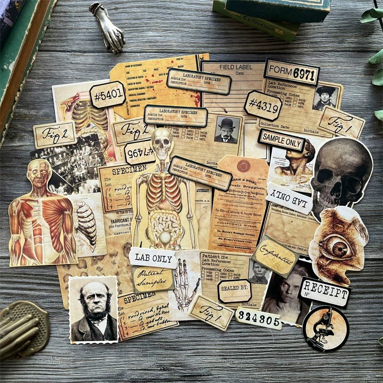 DIY Scrapbooking muñeca Vintag - Vintage Collectible Dolls reseña y precio