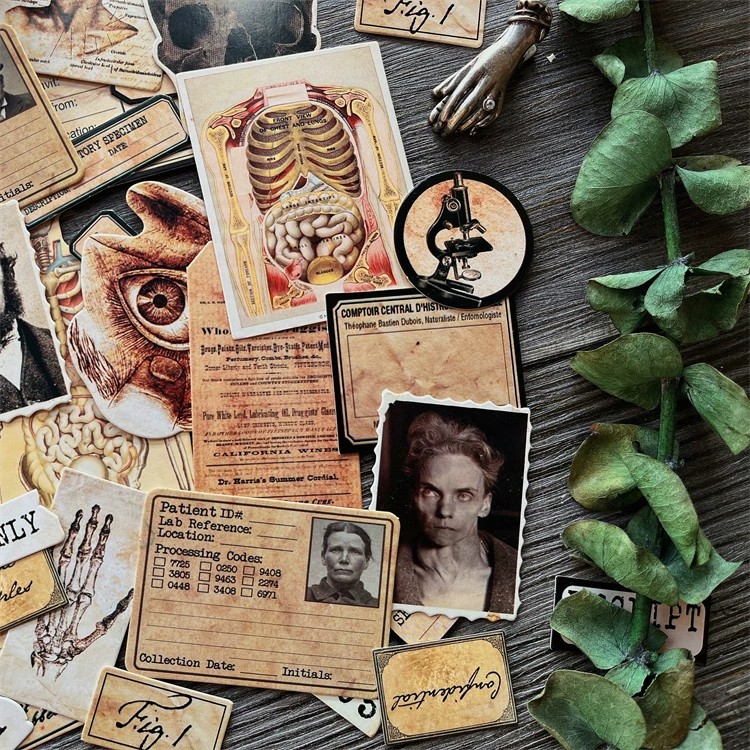 DIY Scrapbooking muñeca Vintag - Vintage Collectible Dolls reseña y precio