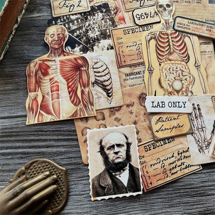 DIY Scrapbooking muñeca Vintag - Vintage Collectible Dolls reseña y precio
